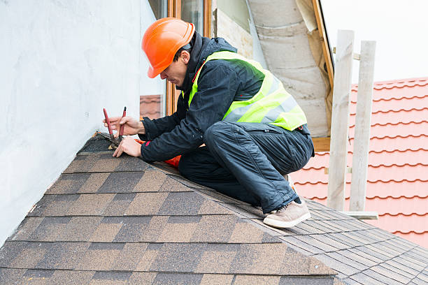 Best Metal Roofing Contractor  in Ragland, AL
